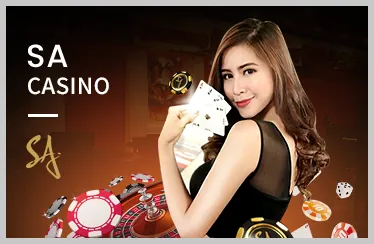 Cá cược quần vợt WON88